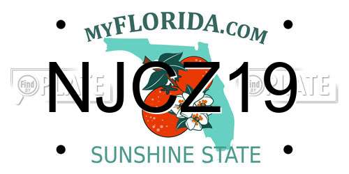NJCZ19 Florida License Plate