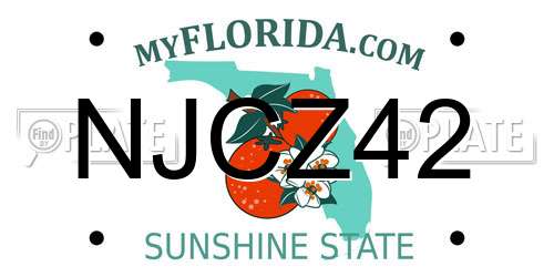 NJCZ42 Florida License Plate