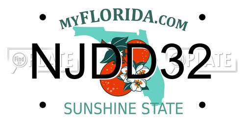 NJDD32 Florida License Plate