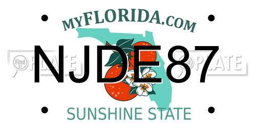 NJDE87 Florida License Plate