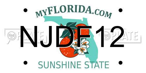 NJDF12 Florida License Plate