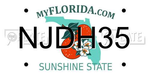 NJDH35 Florida License Plate
