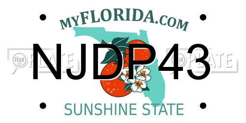 NJDP43 Florida License Plate