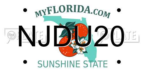 NJDU20 Florida License Plate