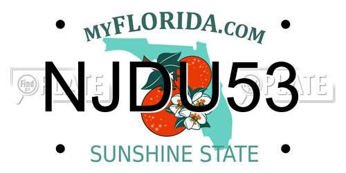 NJDU53 Florida License Plate