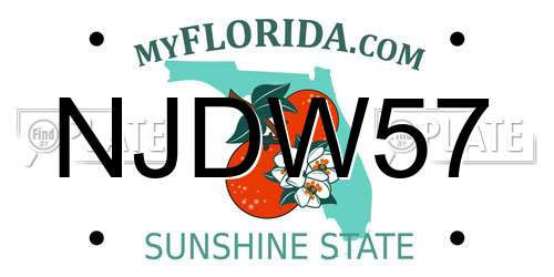 NJDW57 Florida License Plate