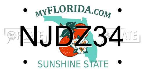NJDZ34 Florida License Plate