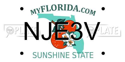 NJE3V Florida License Plate