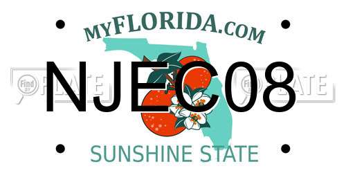 NJEC08 Florida License Plate