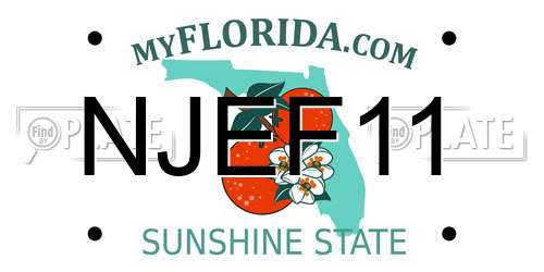 NJEF11 Florida License Plate