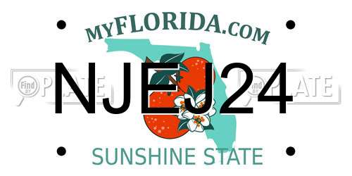 NJEJ24 Florida License Plate