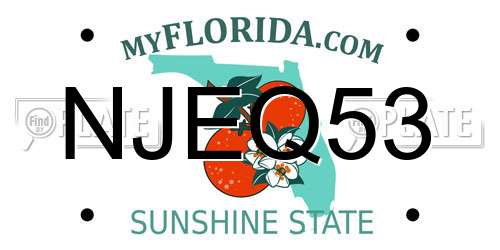 NJEQ53 Florida License Plate