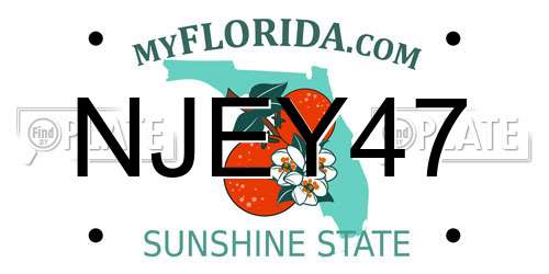 NJEY47 Florida License Plate