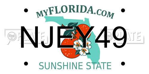 NJEY49 Florida License Plate