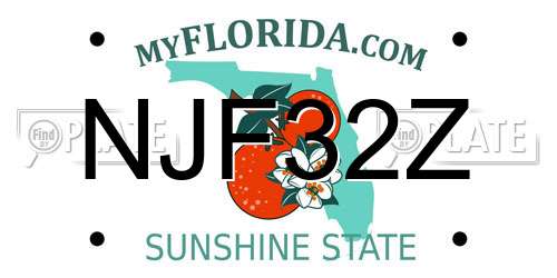 NJF32Z Florida License Plate