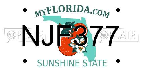 NJF377 Florida License Plate