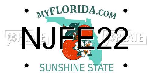 NJFE22 Florida License Plate