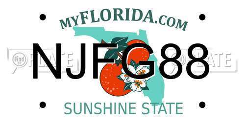 NJFG88 Florida License Plate