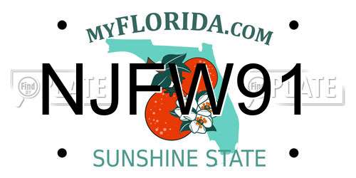 NJFW91 Florida License Plate