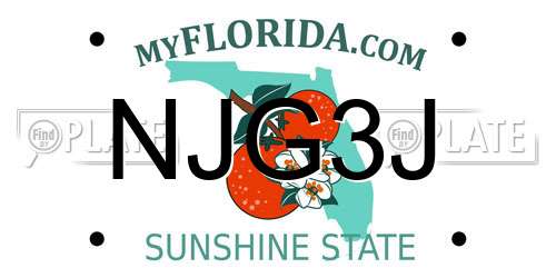 NJG3J Florida License Plate