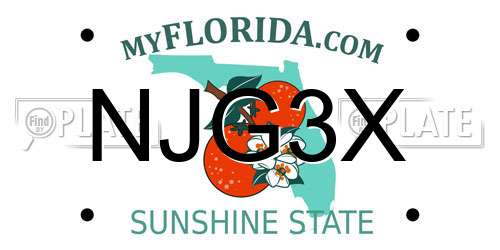 NJG3X Florida License Plate