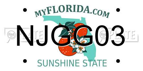 NJGG03 Florida License Plate