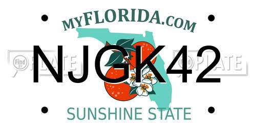 NJGK42 Florida License Plate