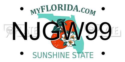 NJGW99 Florida License Plate