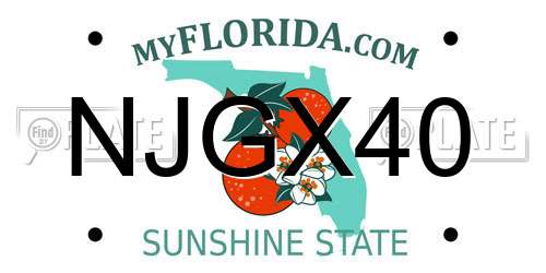 NJGX40 Florida License Plate