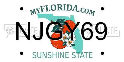 NJGY69 Florida License Plate