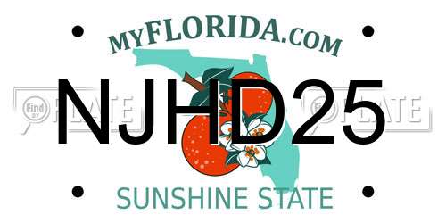 NJHD25 Florida License Plate