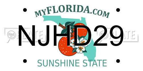 NJHD29 Florida License Plate