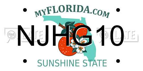 NJHG10 Florida License Plate