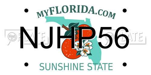 NJHP56 Florida License Plate