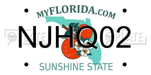 NJHQ02 Florida License Plate