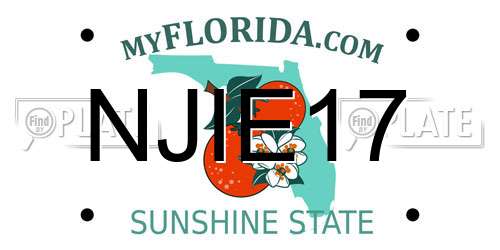 NJIE17 Florida License Plate