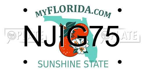 NJIG75 Florida License Plate