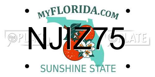NJIZ75 Florida License Plate