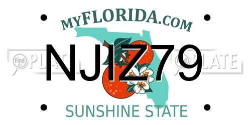 NJIZ79 Florida License Plate