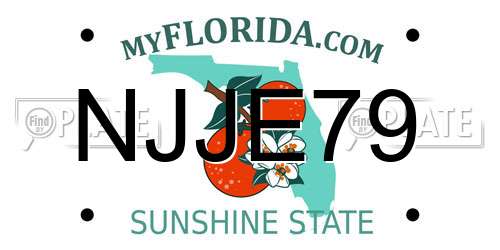 NJJE79 Florida License Plate