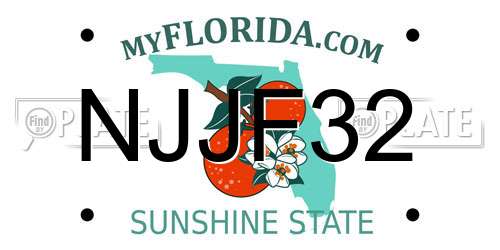 NJJF32 Florida License Plate