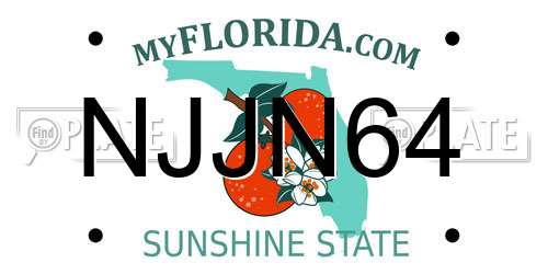 NJJN64 Florida License Plate