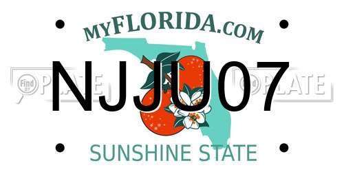 NJJU07 Florida License Plate