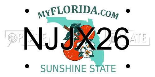 NJJX26 Florida License Plate