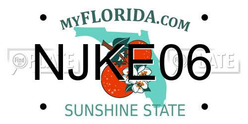 NJKE06 Florida License Plate