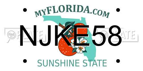 NJKE58 Florida License Plate
