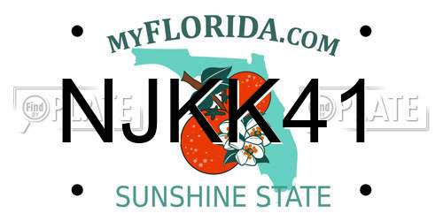 NJKK41 Florida License Plate
