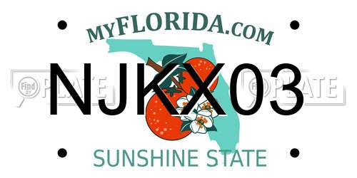 NJKX03 Florida License Plate