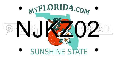 NJKZ02 Florida License Plate