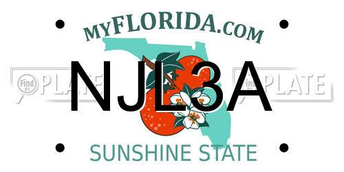 NJL3A Florida License Plate
